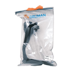 Stecca di Heidelberg